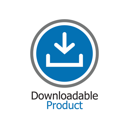 Downloadable Product icon; blue and grey